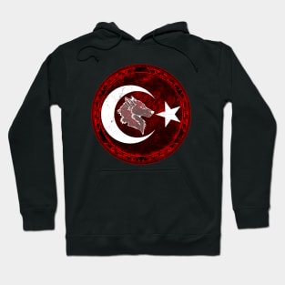 Bozkurt Hoodie